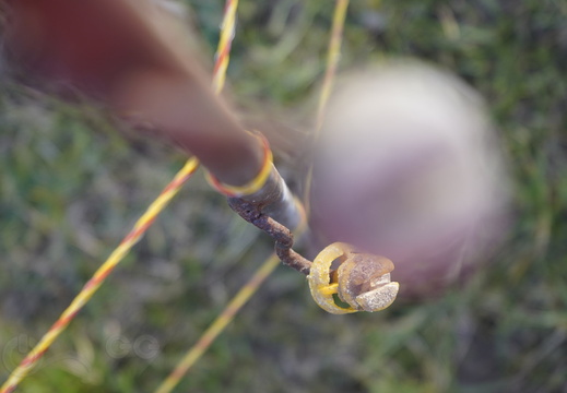  DSC1645